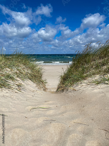 sand dunes on the beach