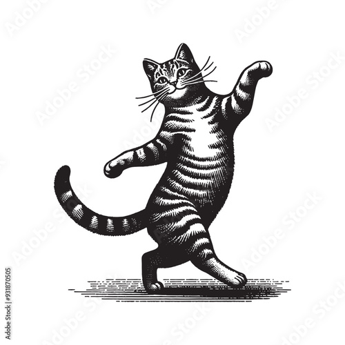 Realistic tabby cat dancing. vintage black and white engraving vector isolated illustration, cut out, woodcut. Print, tattoo