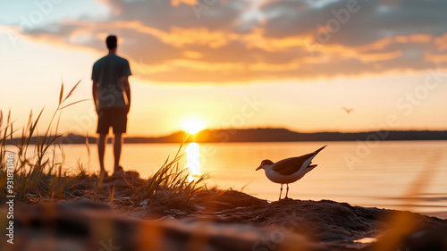 A serene moment as a man stands by the water, watching the sunset, with a bird nearby on the shore, symbolizing the peaceful coexistence with nature. photo