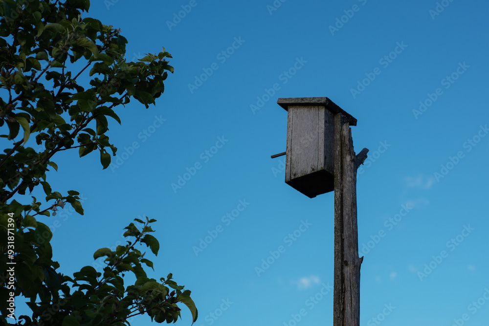 Wooden Birdhouse Mounted on a Post Surrounded by Greenery Against a Clear Blue Sky Wooden Birdhouse Mounted on a Post Surrounded by Greenery Against a Clear Blue Sky