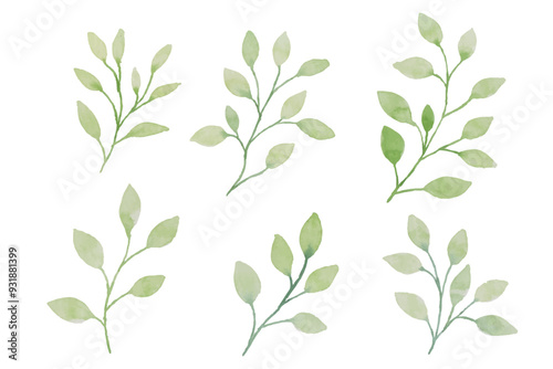Assortment of watercolor leaves illustration set - green leaf branches collection for wedding, greetings, stationary, wallpapers, fashion, background. olive, green leaves, Eucalyptus etc
