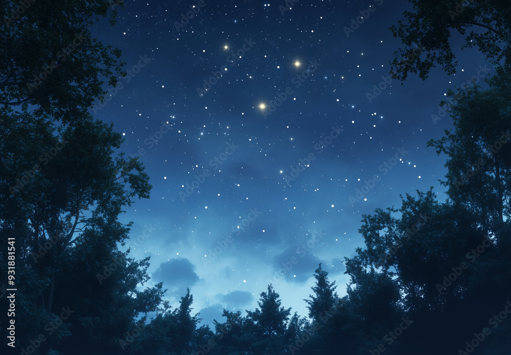 Starry Night Sky Over Forest Canopy Starry Night Sky Over Forest Canopy