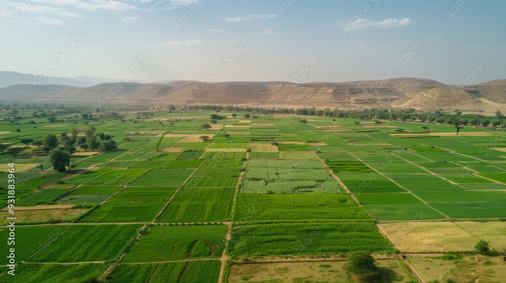 Aerial view of a landscape with alternating green fields and dry patches, illustrating the progress in combating desertification