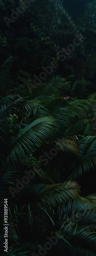 A deep evergreen rainforest, jungle, foliage, tropical wild forest, greenery canopy view, a top view or close up of tree in penang hill, concept of ecology, Earth day, biodiversity, mystery background