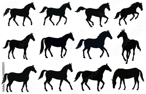 Collection of horse silhouettes set vector illustration. isolated on white background