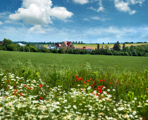 village in the distance, countryside, agriculture, landscape with a beautiful...