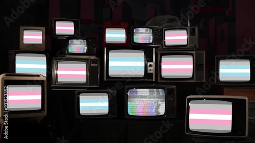 4K Retro TVs: Demigirl and Demiboy Pride Flags in Harmony photo