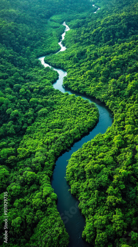 Lush Green Forests with Meandering Rivers: Aerial View of Vibrant Nature Scenery and Serene Wilderness for Environmental Conservation photo