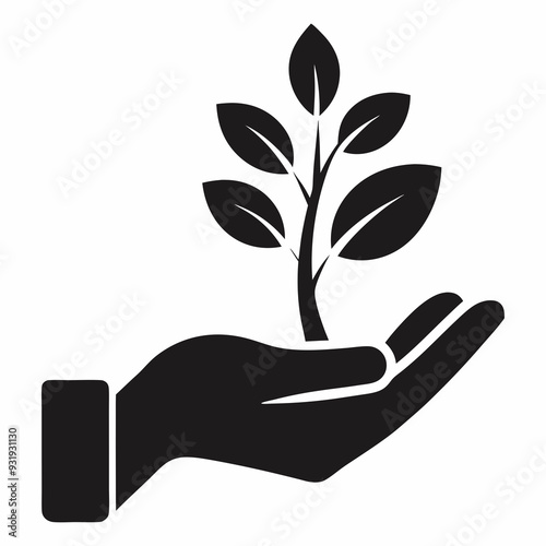 hand holding plant