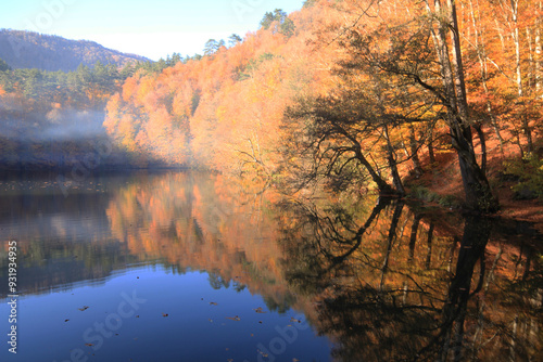 Autumn scene. Seven lakes Bolu Turkey