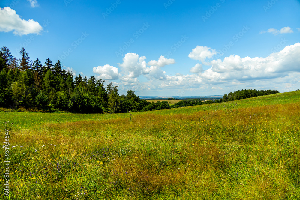 Fototapeta premium Kleine sommerliche Wanderung rund um Luisenthal im wunderschönen Thüringer Wald - Thüringen - Deutschland