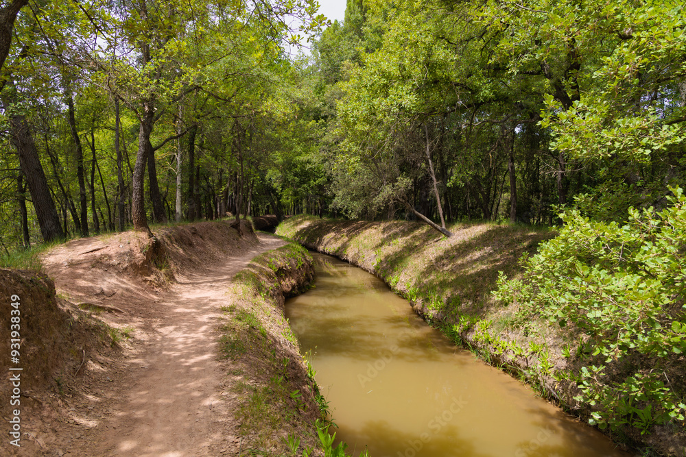 Sendero junto a la Séquia, un canal medieval del siglo XIV, en Manresa, Catalunya, España, durante la primavera. El camino de tierra sigue el curso del canal rodeado de frondosos árboles verdes. Sendero junto a la Séquia, un canal medieval del siglo XIV, en Manresa, Catalunya, España, durante la primavera. El camino de tierra sigue el curso del canal rodeado de frondosos árboles verdes.