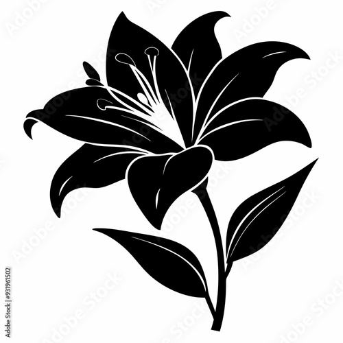 Daylily Black silhouette