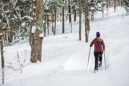 Canvas Print Woman snowshoeing in fresh snow in winter in the woods with blonde hair and purple coat in the cold