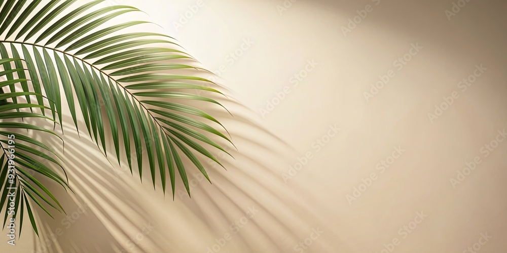 Blurred palm leaf shadow on light cream wall background, perfect for summer or spring product presentations Blurred palm leaf shadow on light cream wall background, perfect for summer or spring product presentations