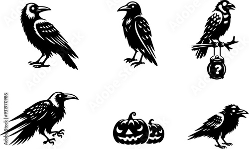 Corbeaux corneilles pour halloween, set à ajuster avec citrouilles. Vecteur noir isolé