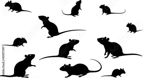 Rat et souris, set silhouette noir sur fond blanc isolé photo