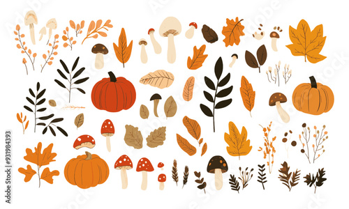 Hello autumn. Set of vector cute illustrations of mushrooms, leaves, pumpkin, animal, autumn set