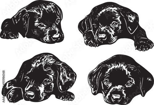 A set of puppies. Hand drawn vector illustration	