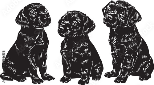 A set of puppies. Hand drawn vector illustration	