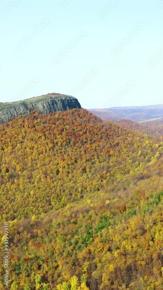 Aerial view of mountain during autumn