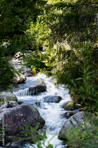 Fotografie Slovakia tatra landscape waterfall moss rocks clean water green trees babbling b