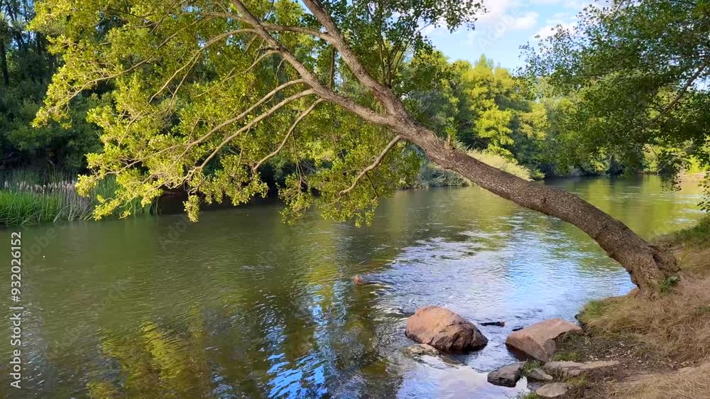 River of calm waters with the afternoon sun River of calm waters with the afternoon sun