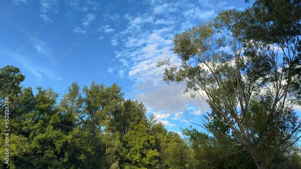 River of calm waters with the afternoon sun River of calm waters with the afternoon sun