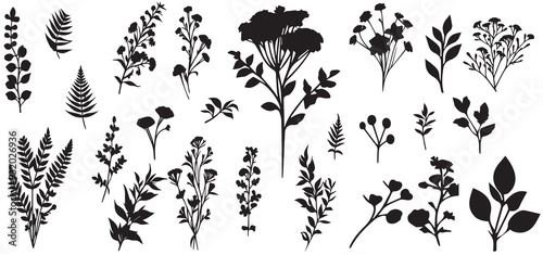 Set of silhouettes of wild flowers and leaves on a white background vector illustration