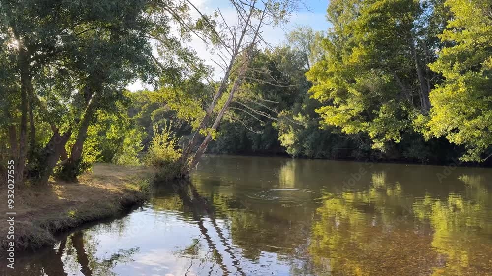 River of calm waters with the afternoon sun River of calm waters with the afternoon sun