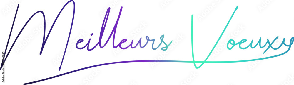 MEILLEURS VOEUX text, gradient text, text design MEILLEURS VOEUX text, gradient text, text design