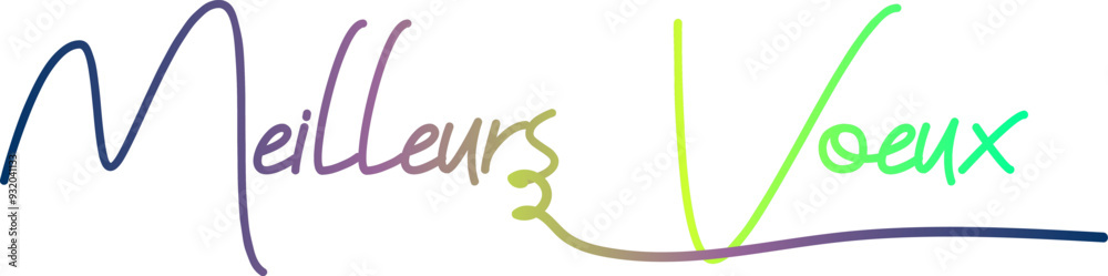 Obraz premium MEILLEURS VOEUX text, gradient text, text design
