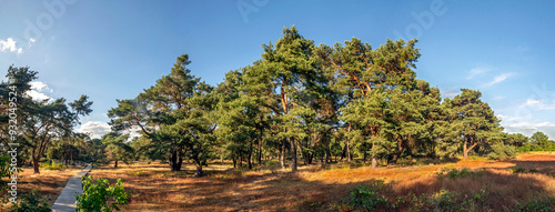 Panoramaaufnahme vom Naturschutzgebiet 