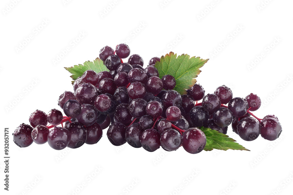 Mouth-Watering Elderberry Fruit Isolated On Transparent Background Mouth-Watering Elderberry Fruit Isolated On Transparent Background