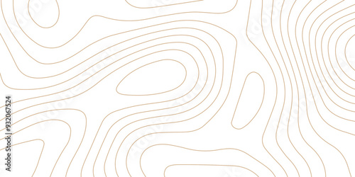 Abstract wave paper curved reliefs background .gradient multicolor wave curve lines banner background design .topographic contours map background .Vector geographic contour map.	