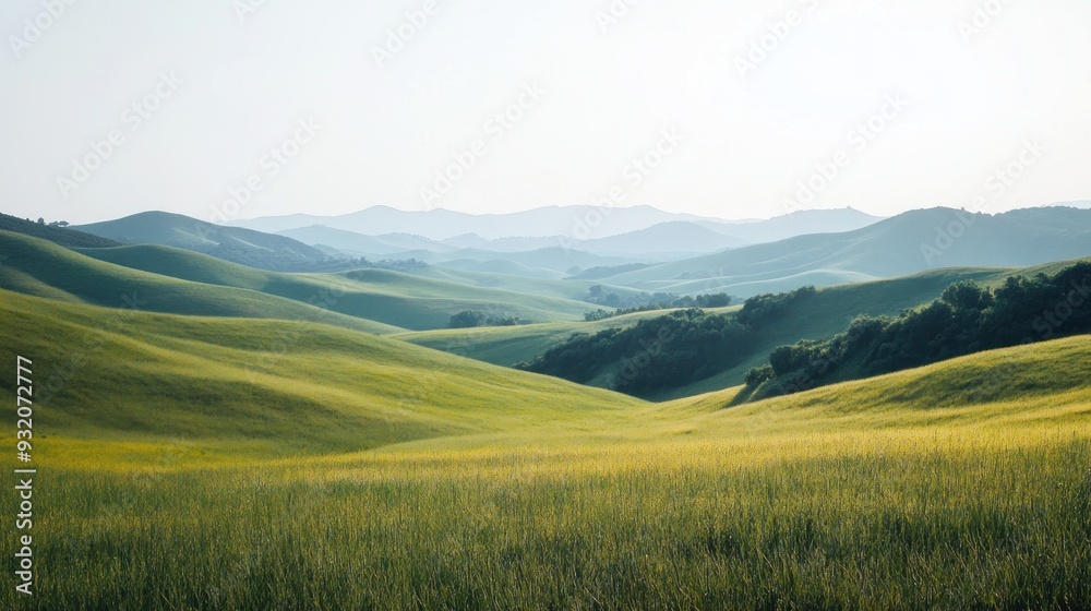Fototapeta premium Rolling Hills in Tuscany, Italy