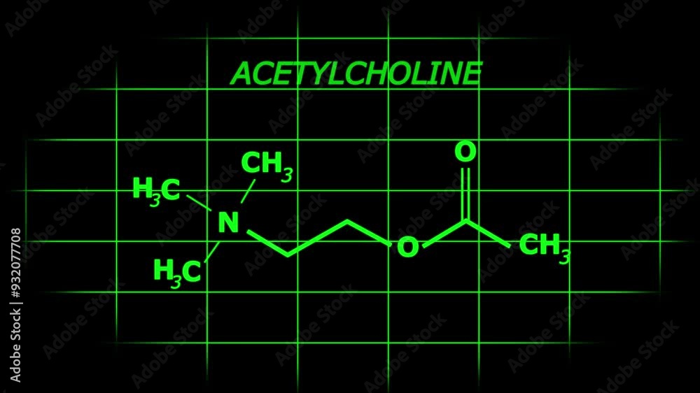Acetylcholine or ACH Molecular Structure Symbol dark green Animation on with grid background Acetylcholine or ACH Molecular Structure Symbol dark green Animation on with grid background
