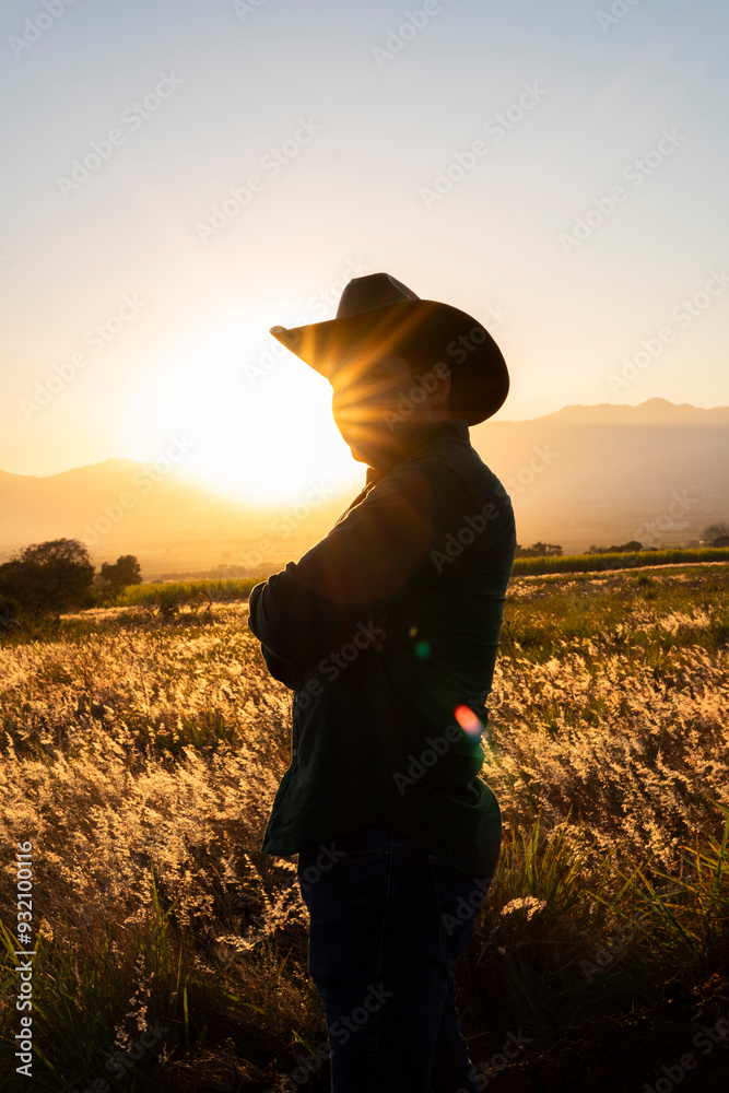 Fototapeta premium Cowbow shadow golden hour | Vaquero a contra luz