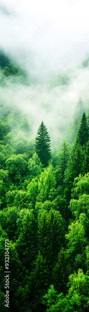 A forest with a single tree in the middle. The trees are green and the sky is cloudy A forest with a single tree in the middle. The trees are green and the sky is cloudy