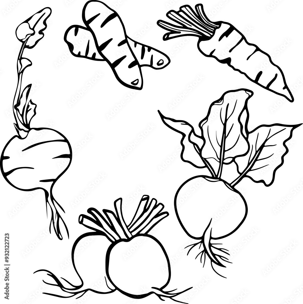 carrot sets carrot sets