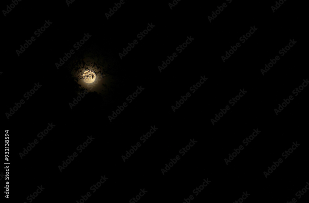 A full moon in a charcoal-black sky is visible through an opening in the trees. Delicate tree branches silhouette the sepia-tone moon. A simple composition with room for type. A full moon in a charcoal-black sky is visible through an opening in the trees. Delicate tree branches silhouette the sepia-tone moon. A simple composition with room for type.