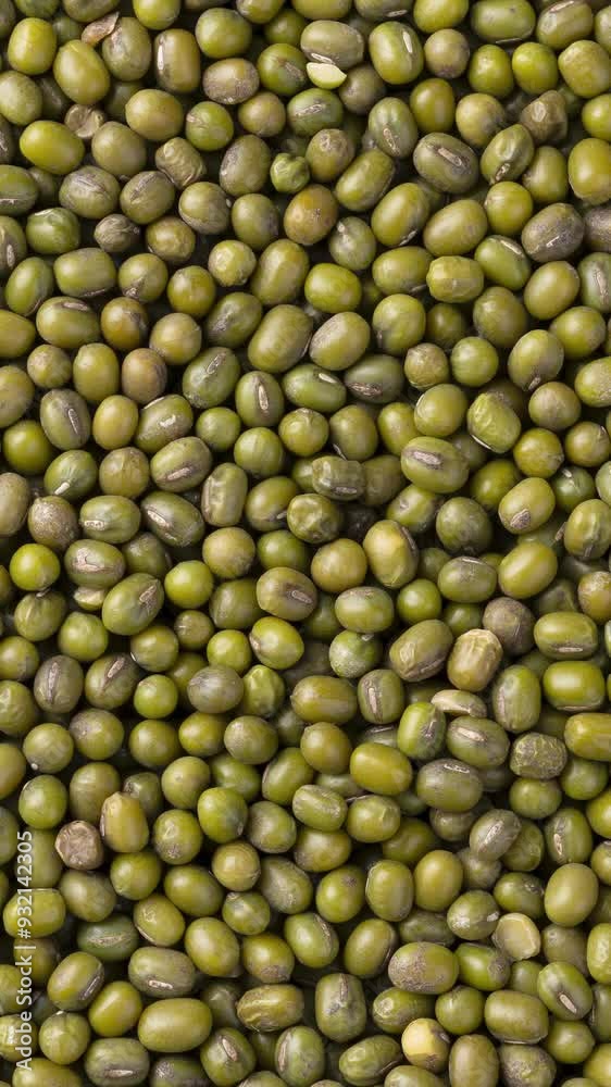 Closeup, top view of moyashi beans. Food backdrop Closeup, top view of moyashi beans. Food backdrop
