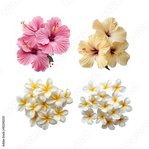 flowers on white background