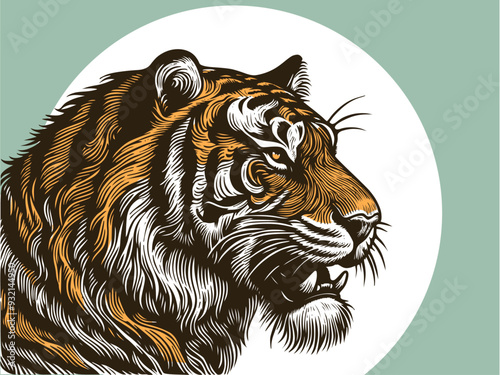 Vector drawing of tiger head