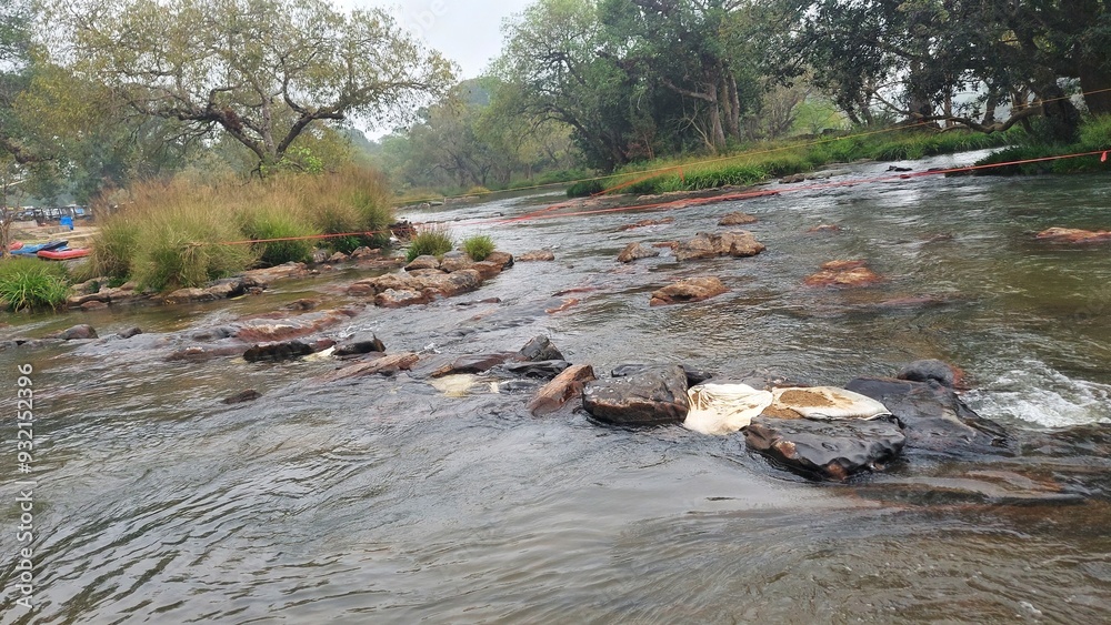 The river kaveri at the Dubare elephant camp at Dubare, Kodagu district, Karnataka, India. People used to cross this river by walk during low level of water to visit elephant camp.
The river kaveri at the Dubare elephant camp at Dubare, Kodagu district, Karnataka, India. People used to cross this river by walk during low level of water to visit elephant camp.