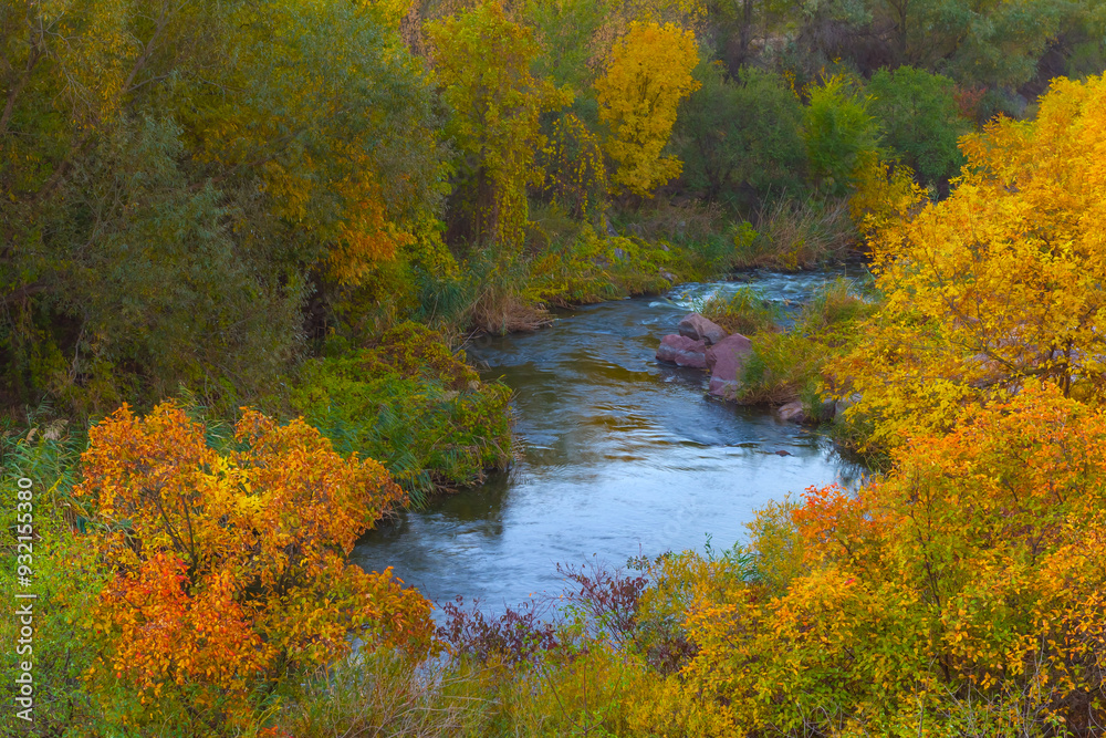 small river flow through the stony canyon with red autumn forest small river flow through the stony canyon with red autumn forest