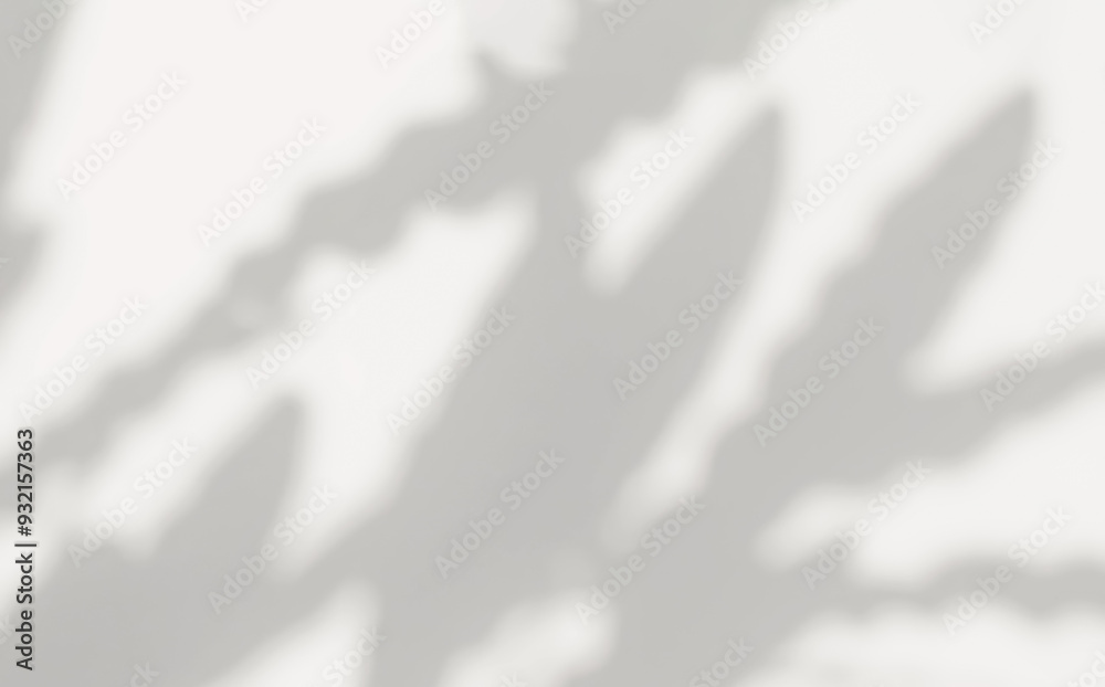 Obraz premium Abstract silhouette shadow white background of natural leaves tree branch falling on wall. Transparent blurry shadow leaf in morning sun light. Copy space for text.