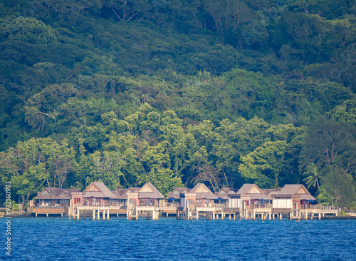 Example of the thick foliage near a tourist resort, Palau, Micronesia, Pacific