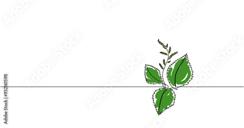 Simple vector illustration of the common nettle. Floral line art with the branch of the nettle.