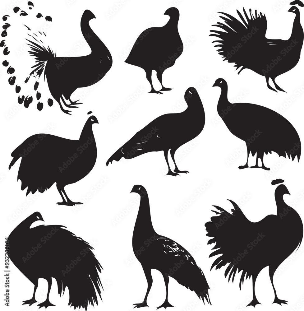 Obraz premium Beautiful peacock silhouette vector